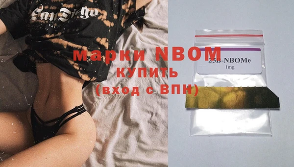 гашик Семилуки